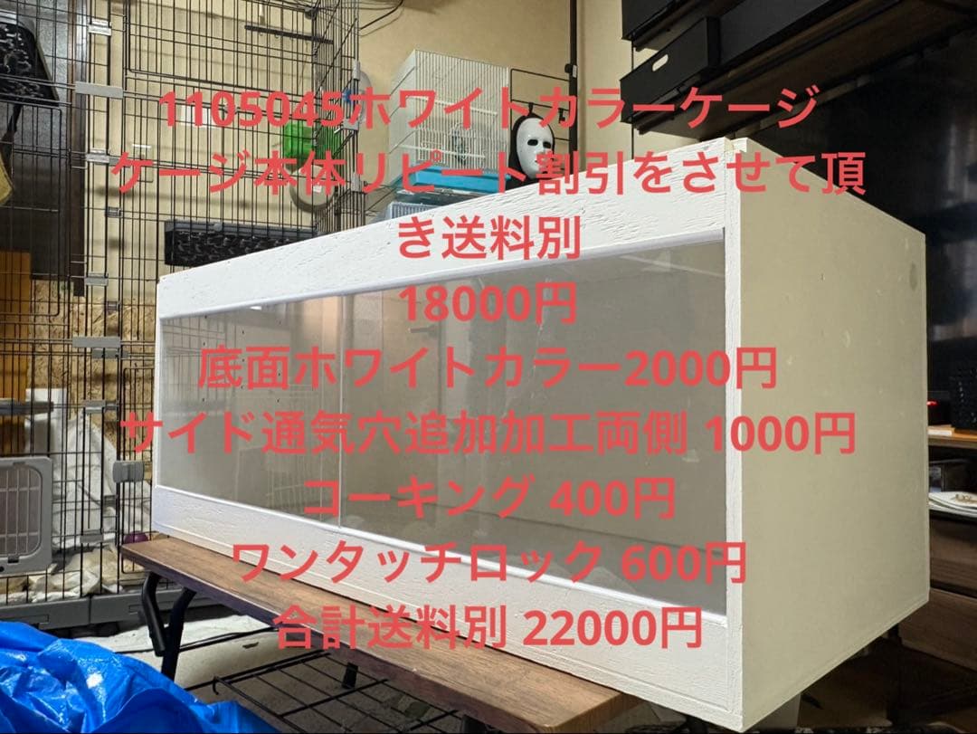 mちゃん　1105045