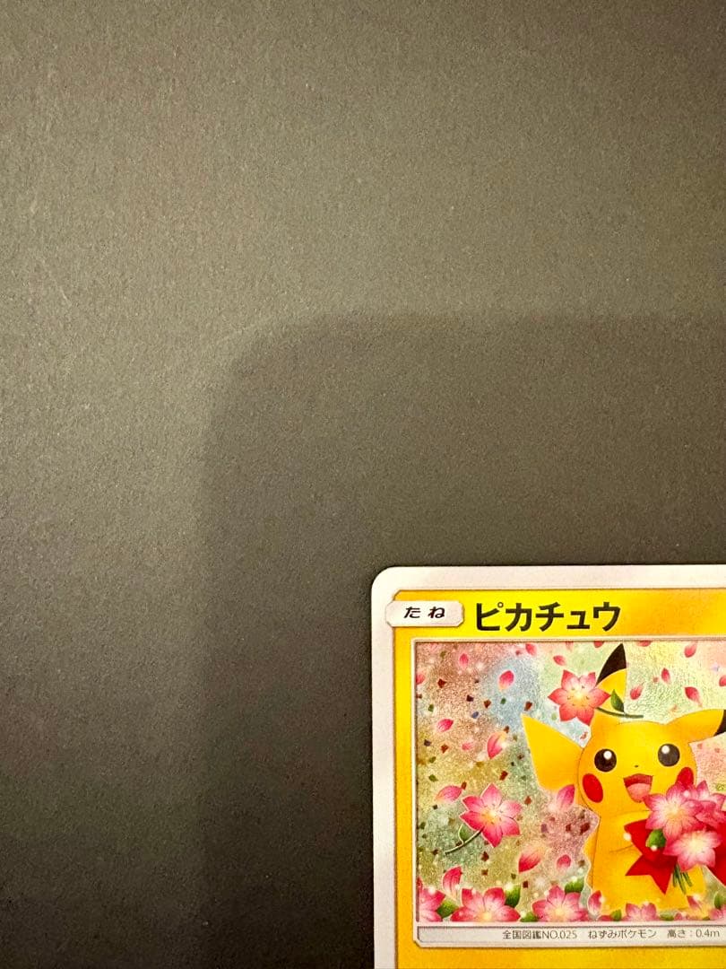 ポケモンカード　ピカチュウ みんなでいわう　プロモ　224/SM-P