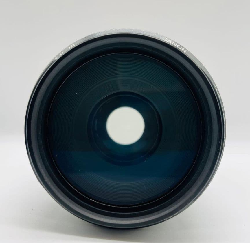 Canon EF 75-300mm IS USM 手振れ補正付き 望遠レンズ
