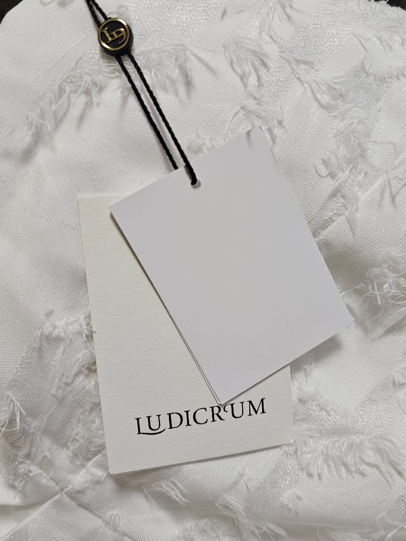 LUDICRUM ボタニカルジャガードドレス 岡部あゆみ