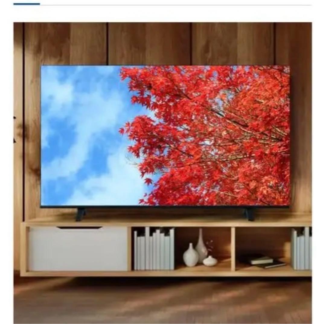 専用rayray様　REGZA 65型 C350M 4K液晶テレビ