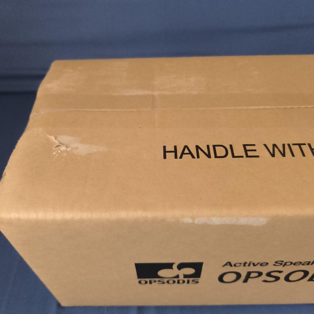 アクティブスピーカーOPSODIS1　鹿島建設制作　３６０度立体音響スピーカー