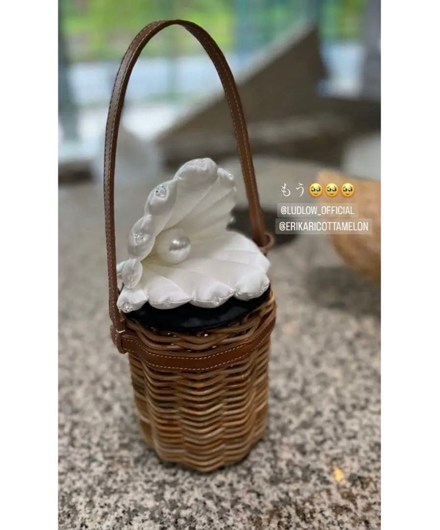 LUDLOW ラドロー　シェル　パール　カゴバッグ