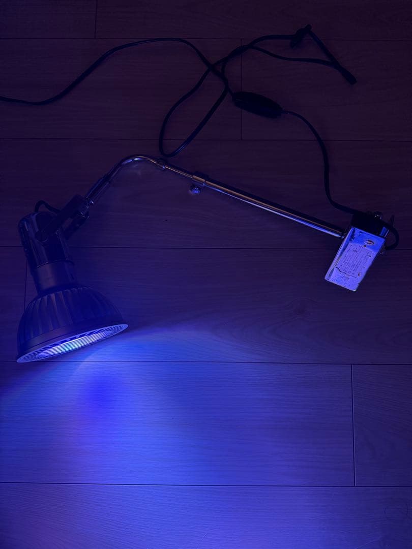 グラッシーレディオ　RX122s Reef