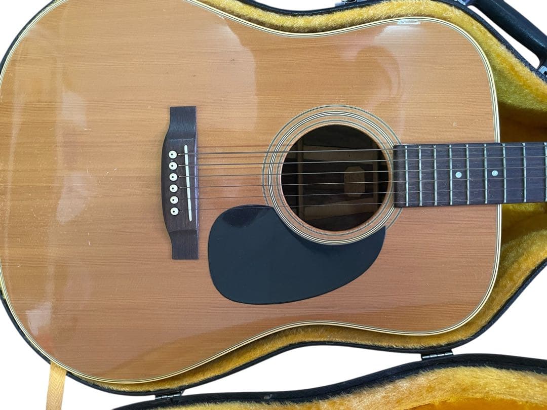 ② Aria Dreadnoughtアコースティックギター ハードケース付き