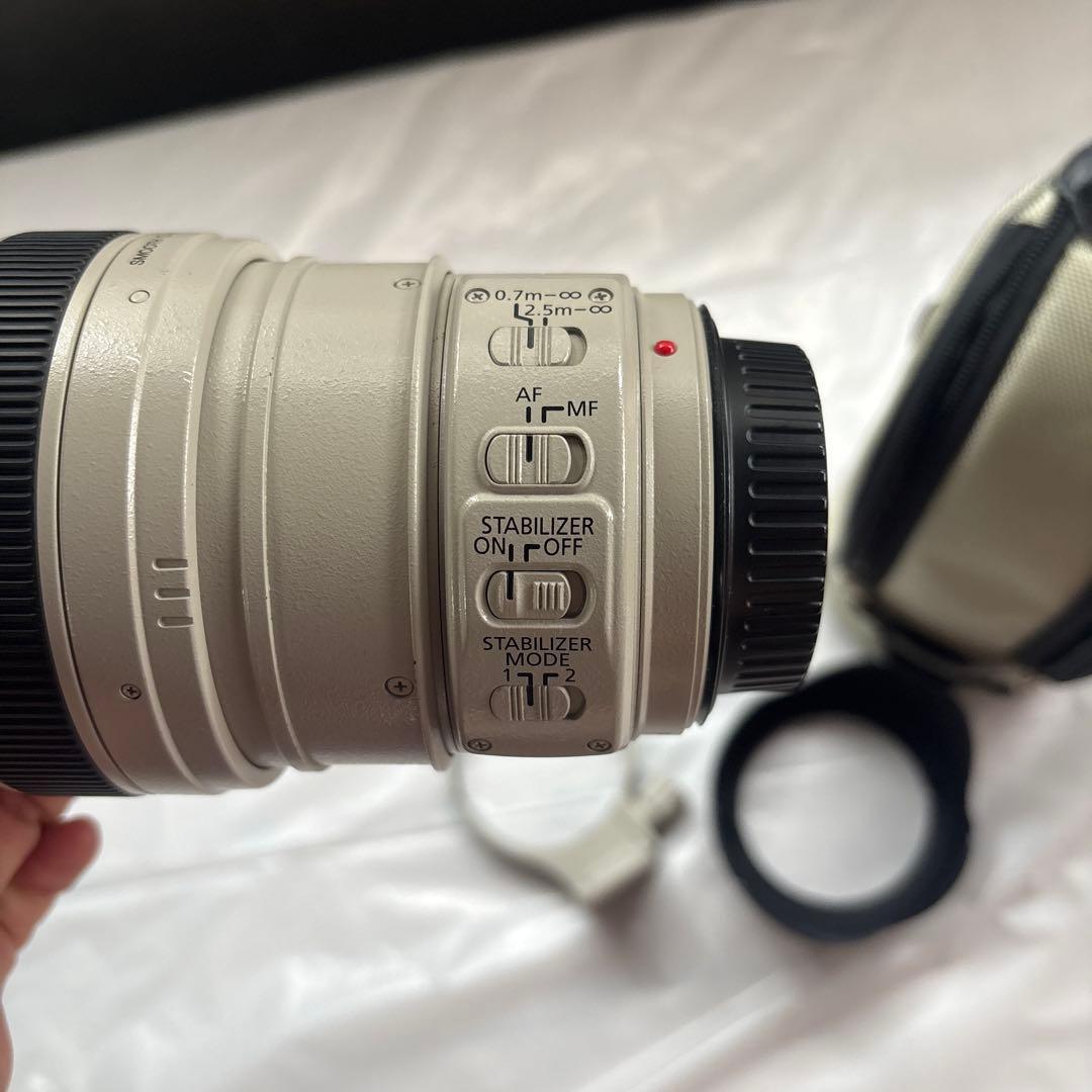 Canon EF 28-300mm F3.5-5.6L IS USMレンズセット