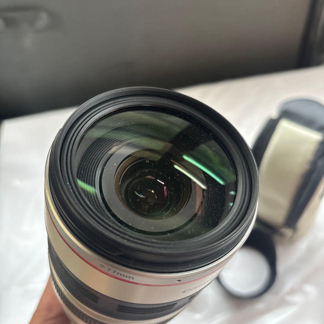 Canon EF 28-300mm F3.5-5.6L IS USMレンズセット