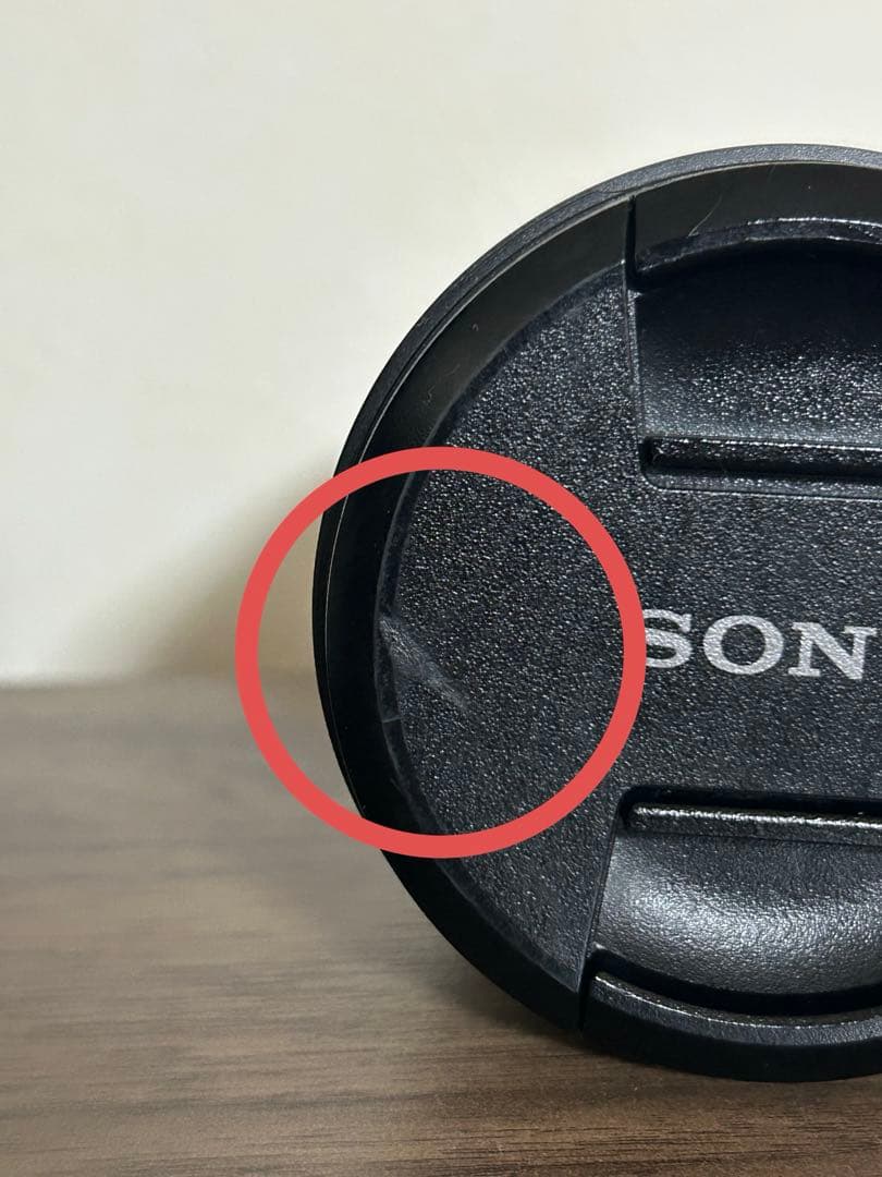 【SONY】FE 24-105mm F4G OSS SEL24105G(中望遠)