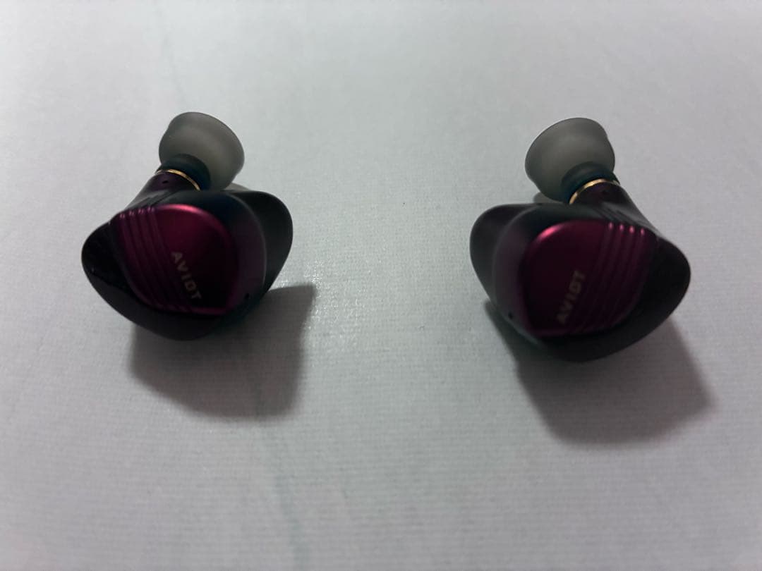 AVIOT TEーW1レッド Bluetooth イヤホン