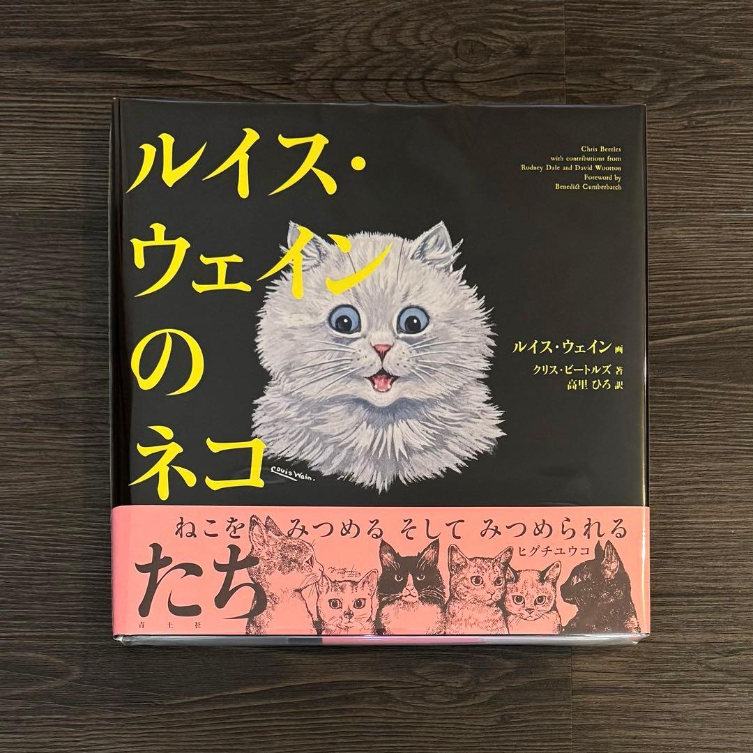 ヒグチユウコ　ボリス雑貨店　【ルイス・ウェインのネコたち】　ニャンコ