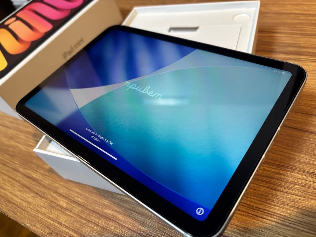 iPad mini 第7世代(A17 Pro)セルラーモデル　保証あり