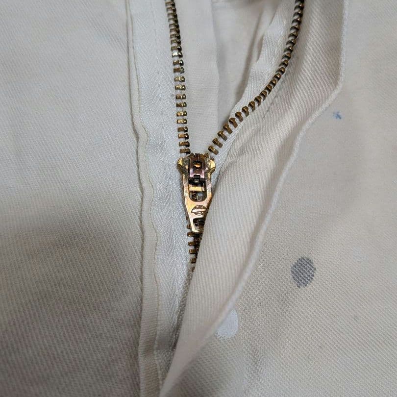 dickies × sherwinwilliams ペインターパンツ 34×30