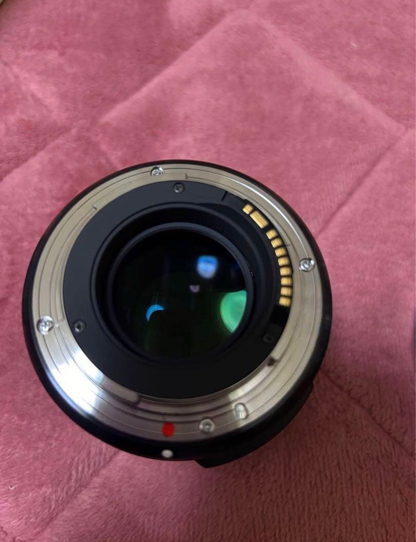 シグマ　30mm F1.4 DC HSM [キヤノン用]