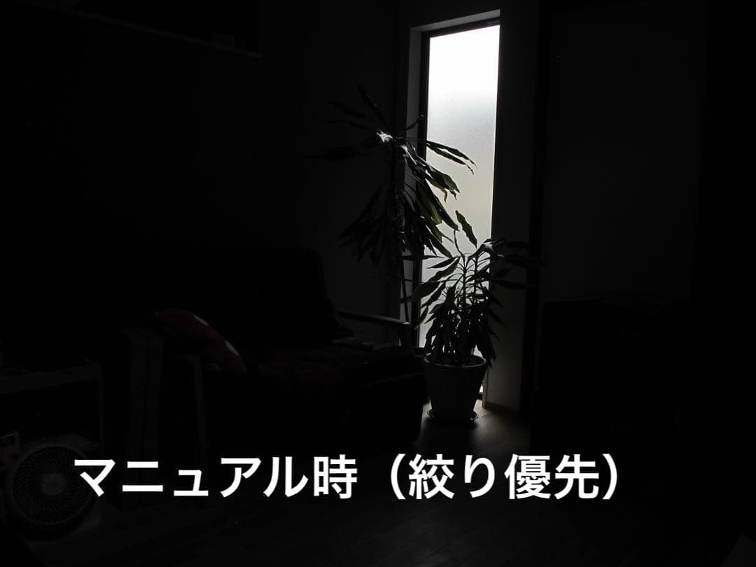 Canon PowerShot G11 コンパクトデジタルカメラ