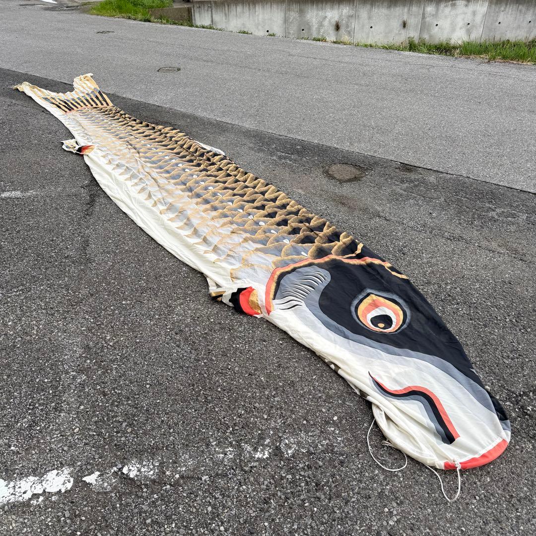 ‪☆鯉のぼり 黒‪☆約7m 金色