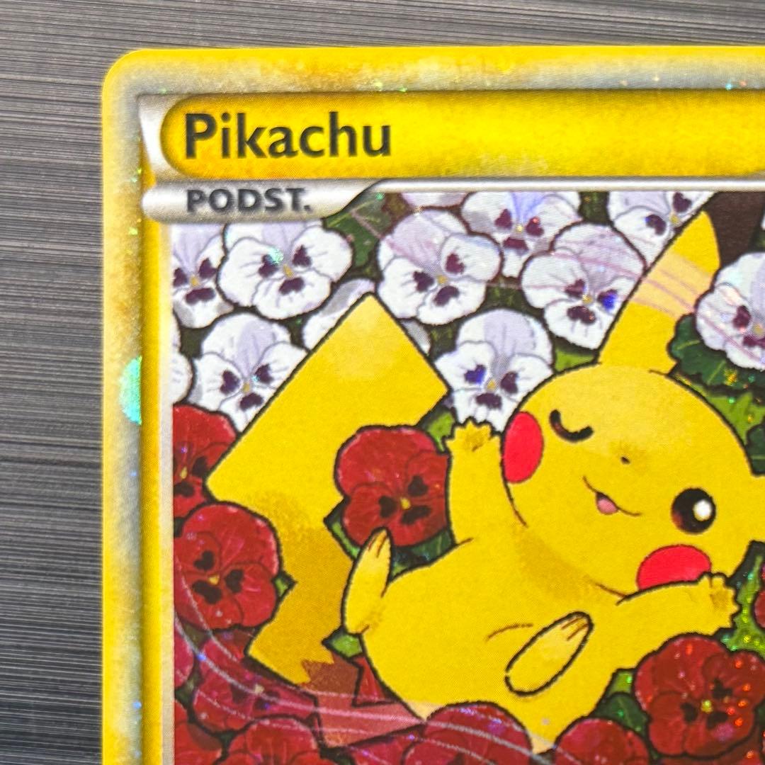 ピカチュウワールド　ポーランド