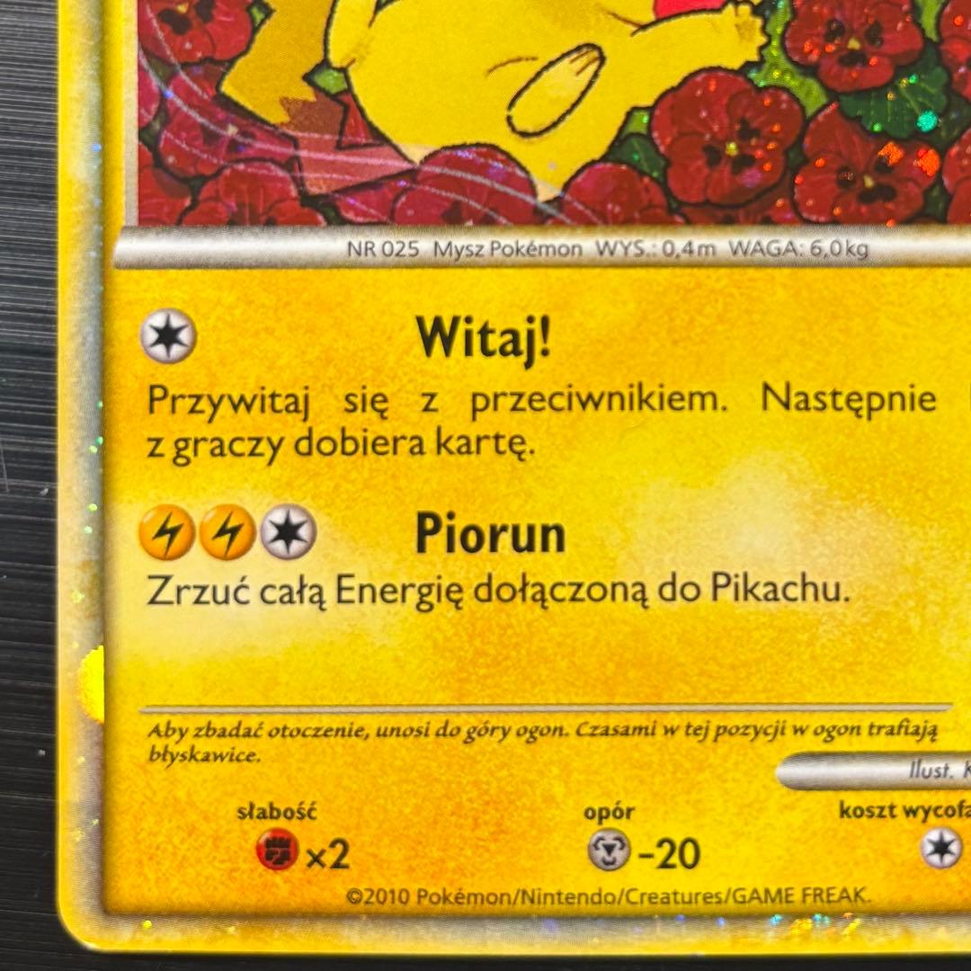 ピカチュウワールド　ポーランド