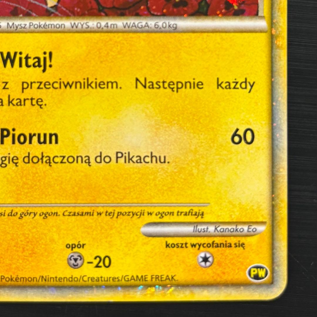 ピカチュウワールド　ポーランド