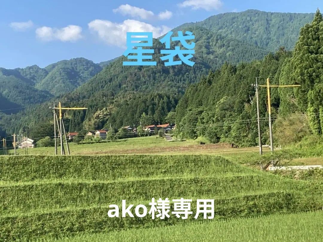 akoアレルギー食品大前星２０