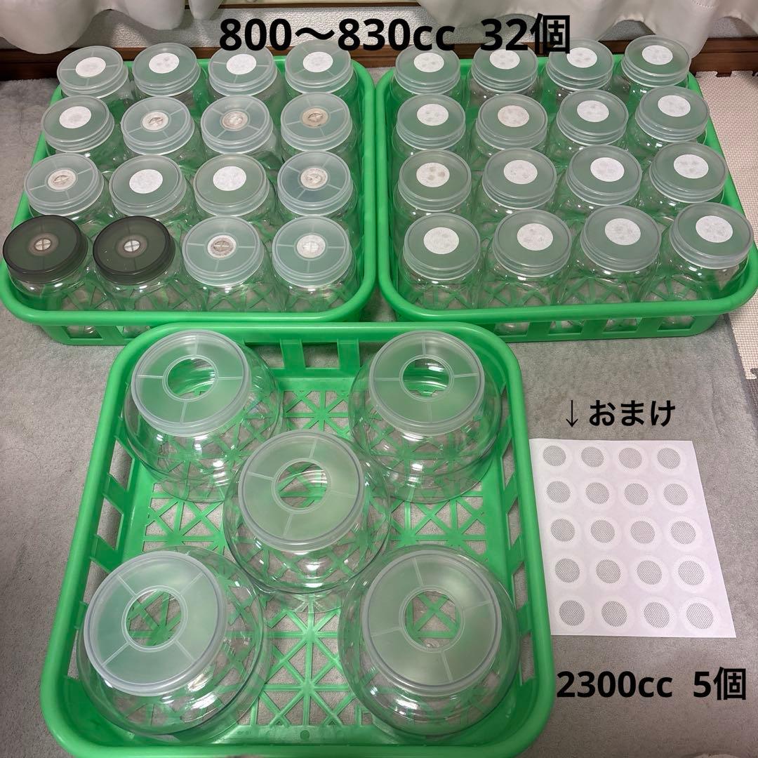 菌糸ボトル 800～830cc 32本 2300cc 5個 コンテナ3枚 まとめ