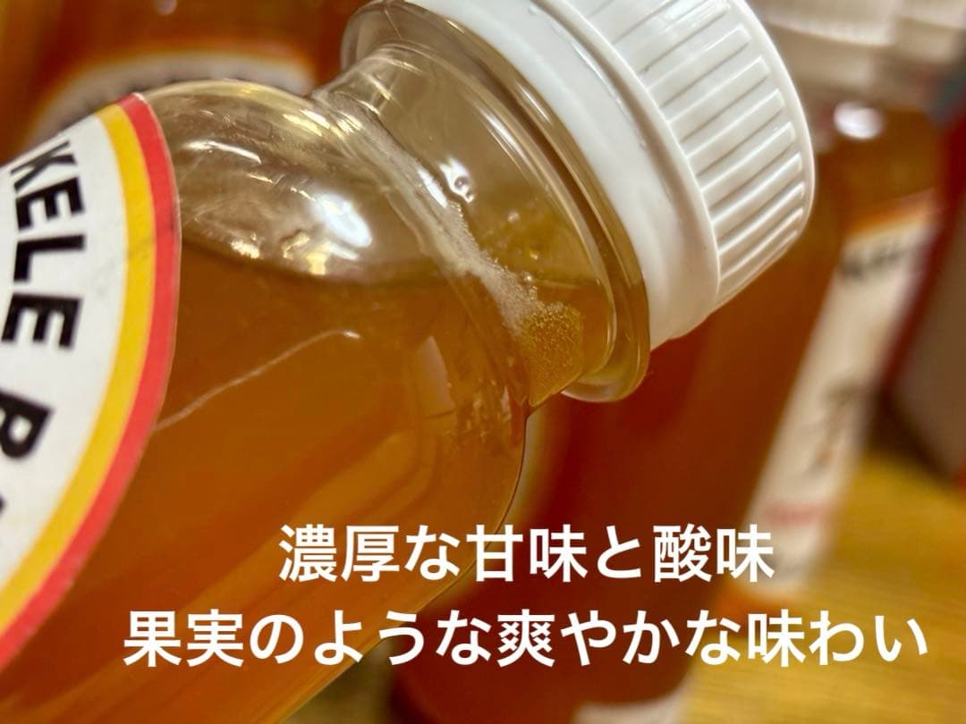 針なしミツバチの蜂蜜3本、ココナッツシュガー650g、ココナッツオイル600ml