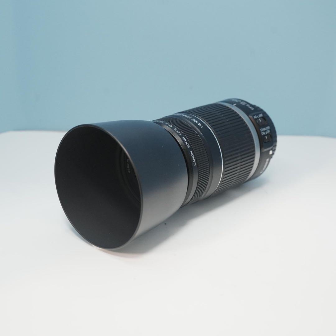 Canon純正 55-250mm 望遠レンズ 美品 a5113
