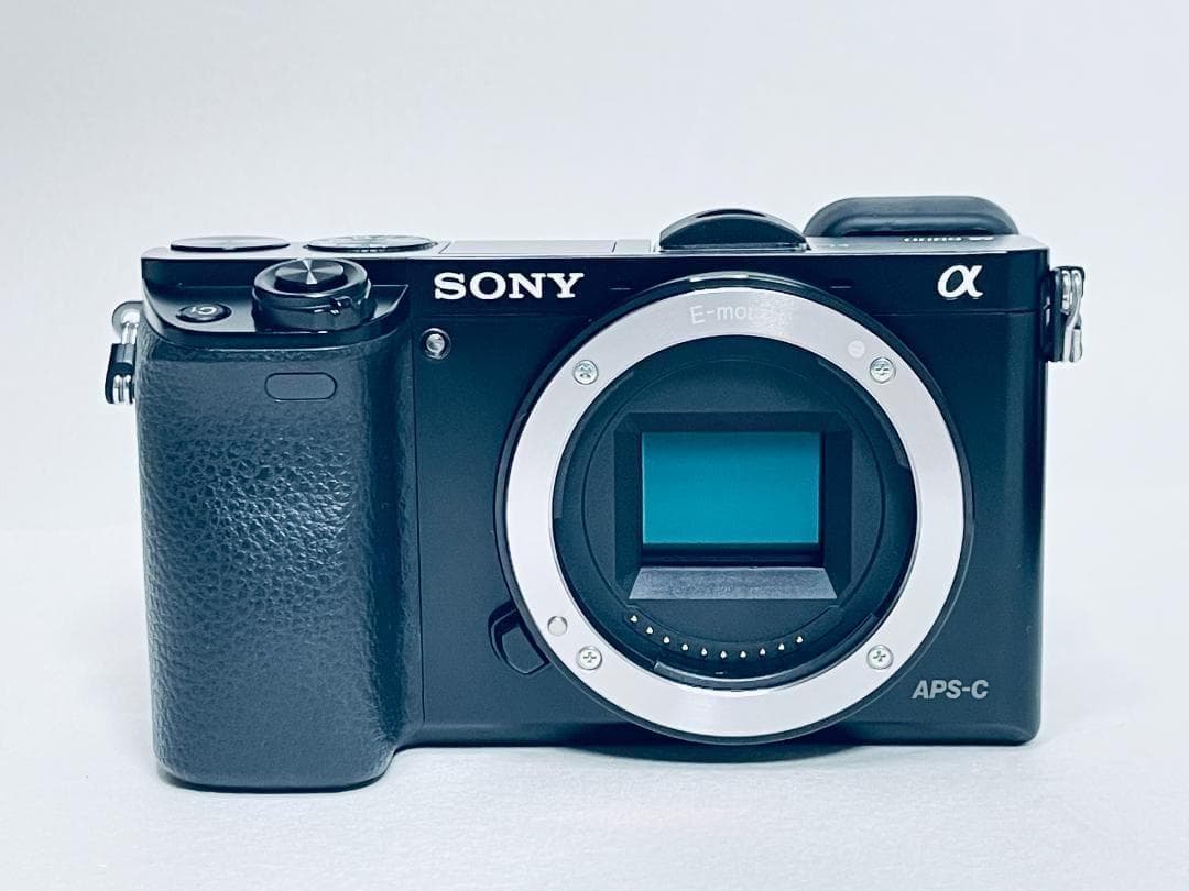 【ほぼ新品ショット数2901回】SONY α6000 ボディ ILCE-6000