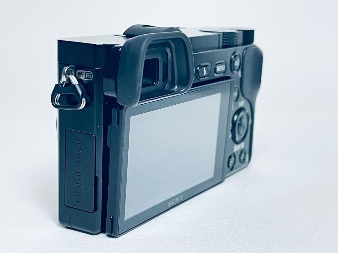 【ほぼ新品ショット数2901回】SONY α6000 ボディ ILCE-6000