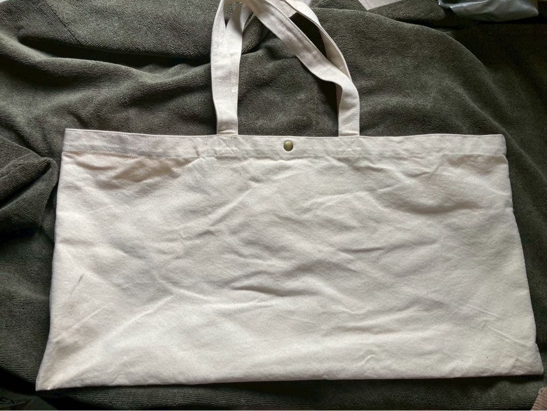 LandSup Crazy mini バランスボード　トートバッグ付き