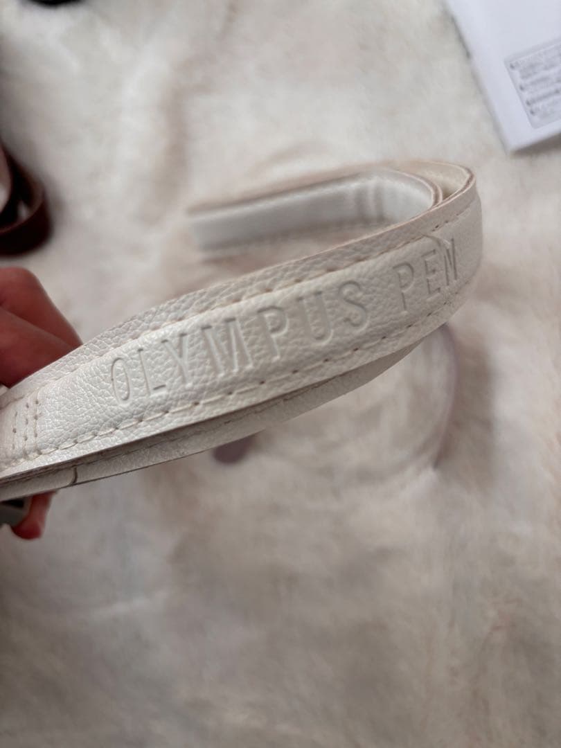 OLYMPUS PEN E-PL10 ダブルズームキット（ブラウン）