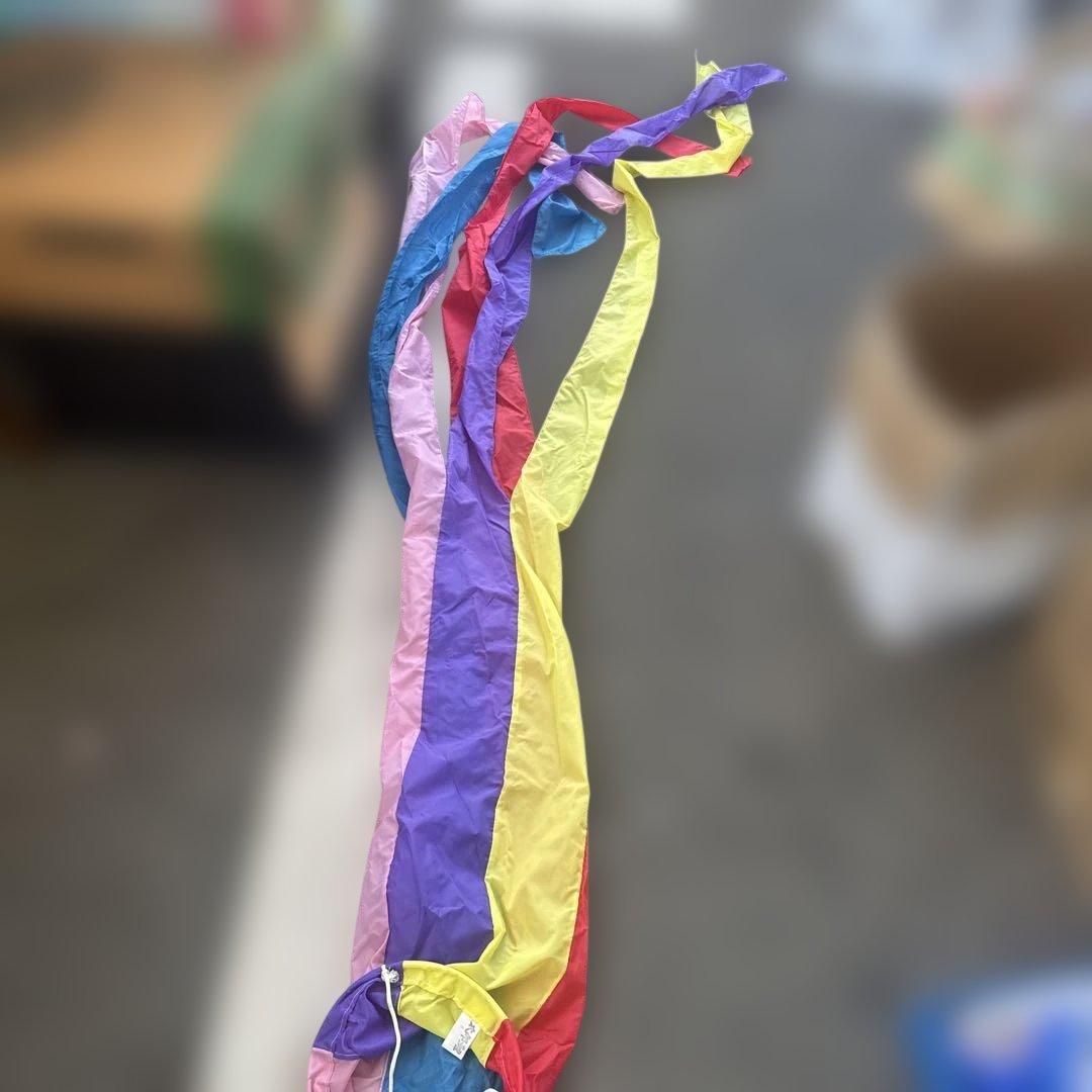 カラフル鯉のぼりセット　太郎鯉