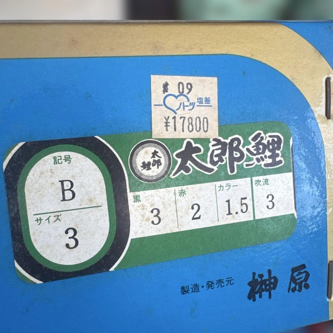 カラフル鯉のぼりセット　太郎鯉