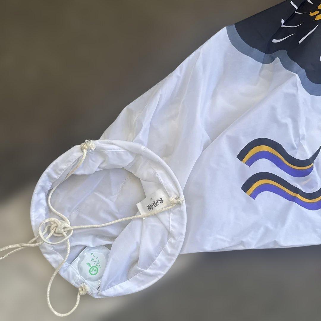 カラフル鯉のぼりセット　太郎鯉