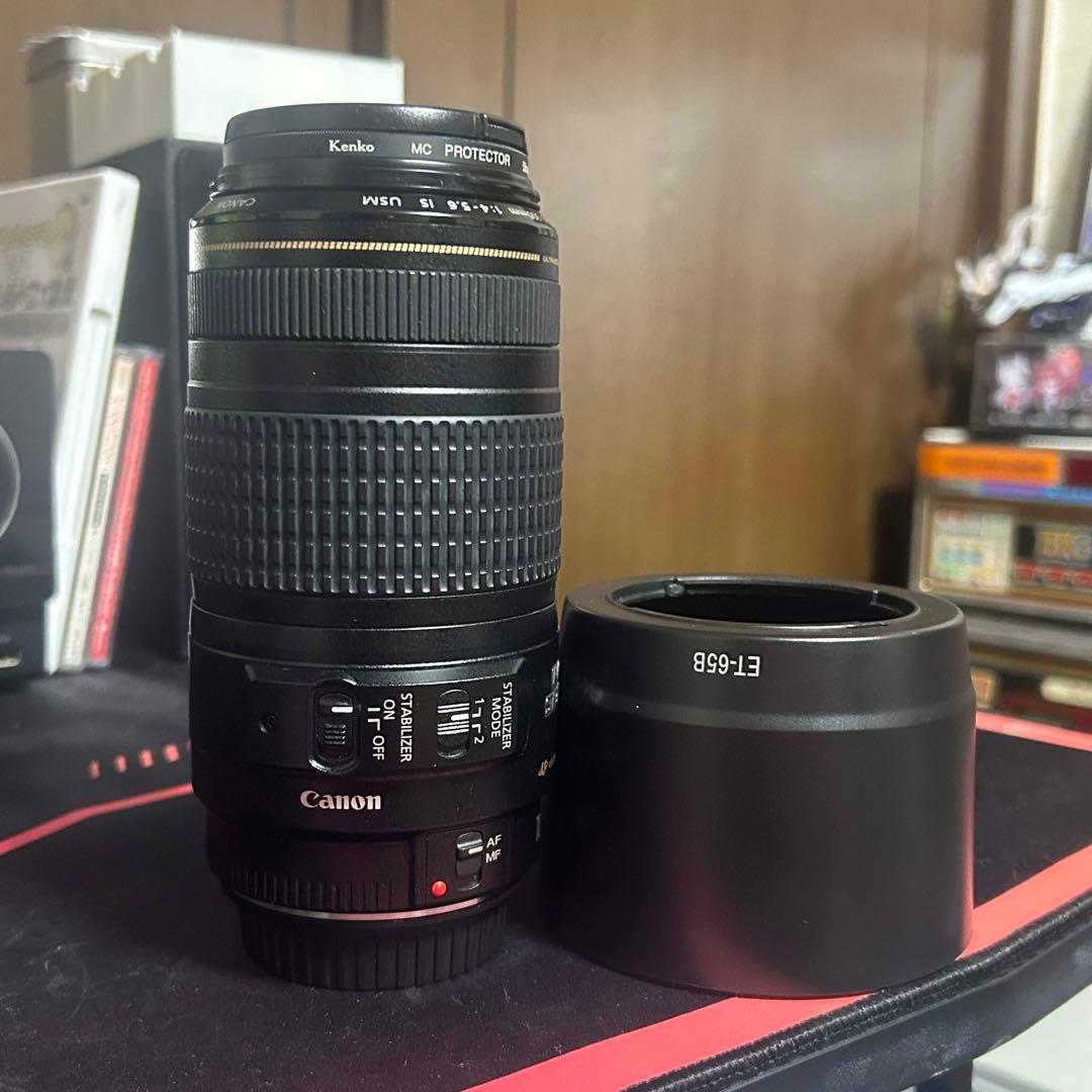 美品 Canon EF 70-300mm F4-5.6 IS USM