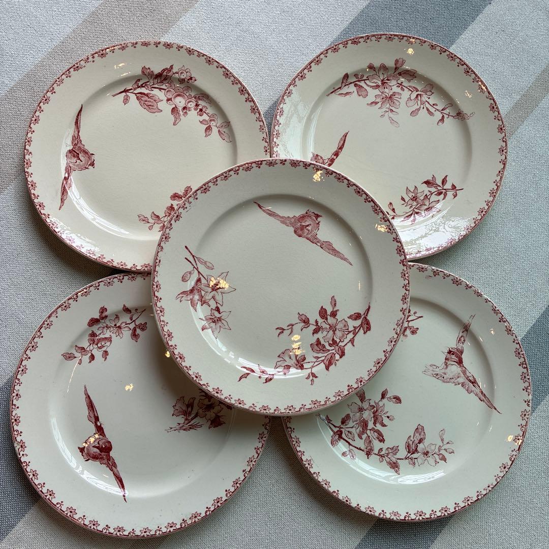 希少　サルグミンヌ ファボリ　ディナープレート フランスアンティーク食器