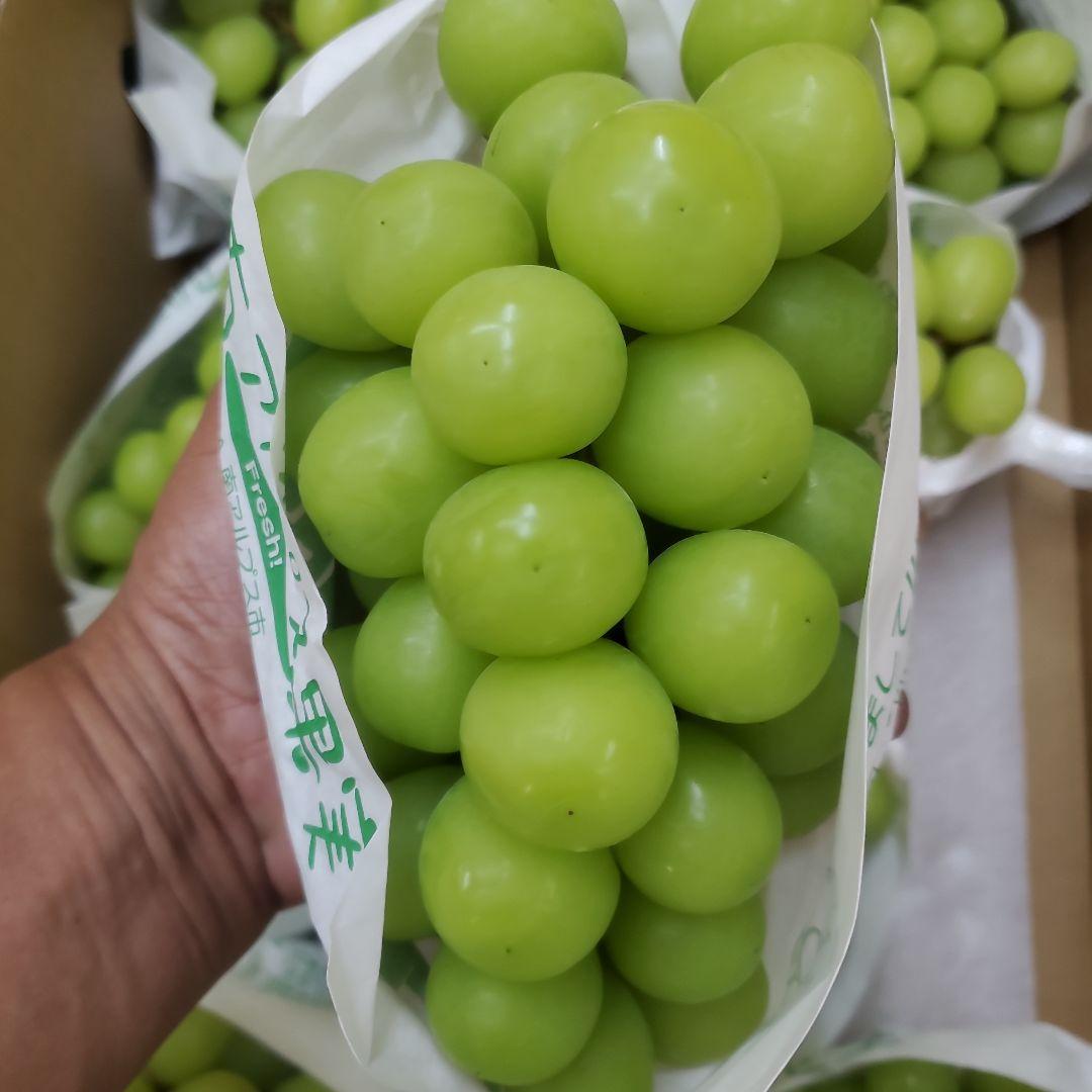 1⃣2️⃣ 山梨県産 シャインマスカット ９房入り 箱込み5.3キロ