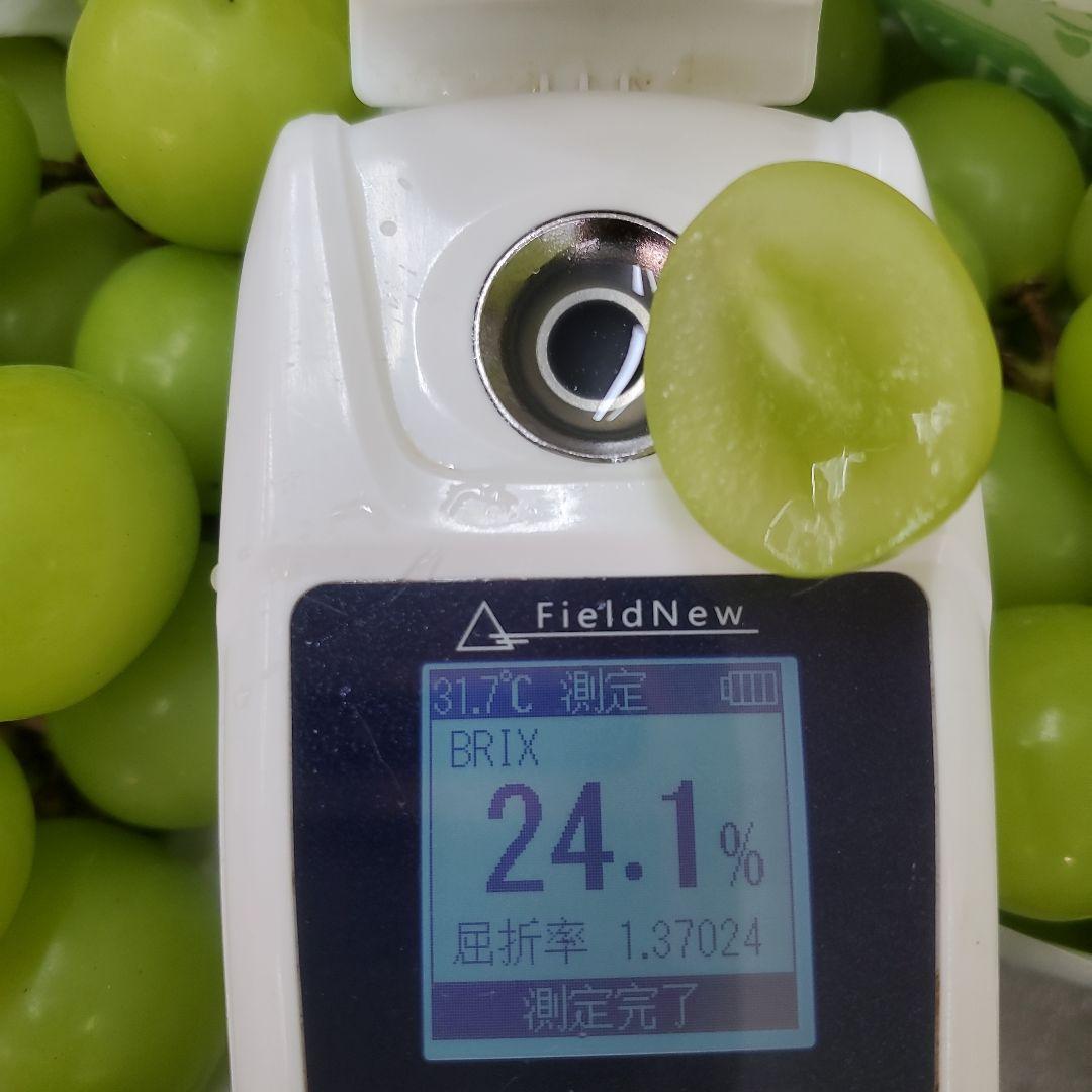 1⃣2️⃣ 山梨県産 シャインマスカット ９房入り 箱込み5.3キロ