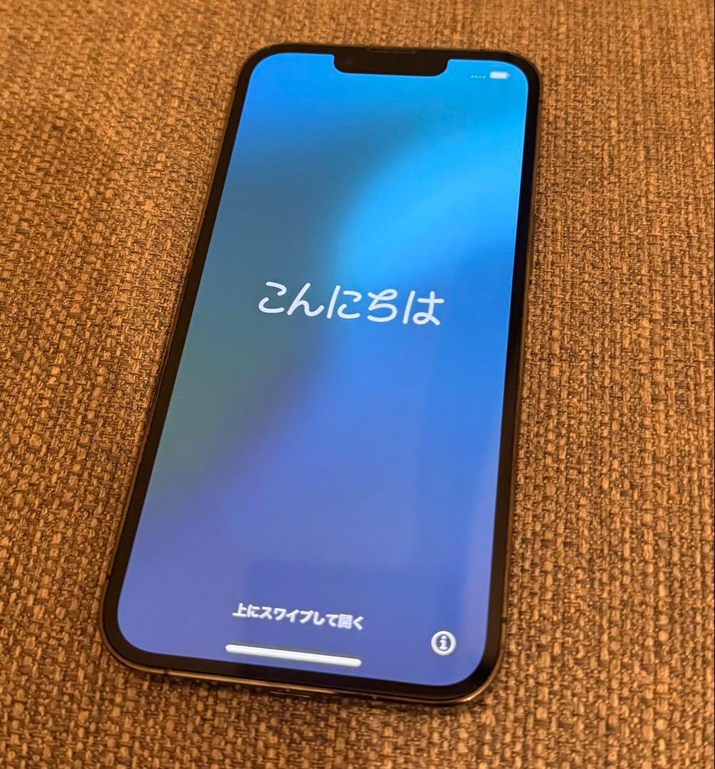 iPhone13Pro 256GBグラファイト