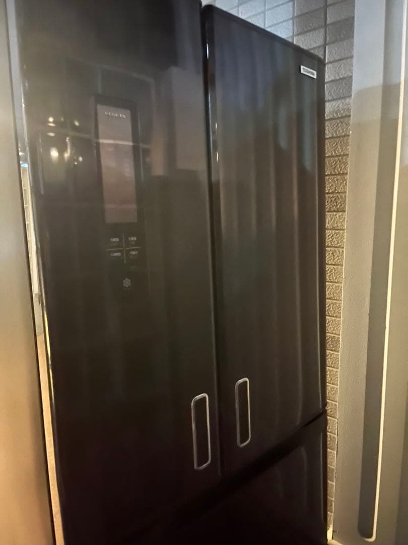 Nokbleさん専用　東芝　冷蔵庫　GR-E55FX