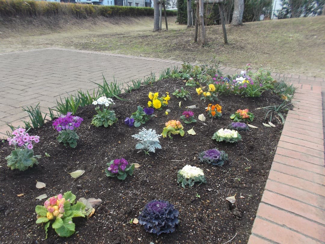 実写美⭕️良品【動作確認済み】FUJIFILM FINEPIX JX500