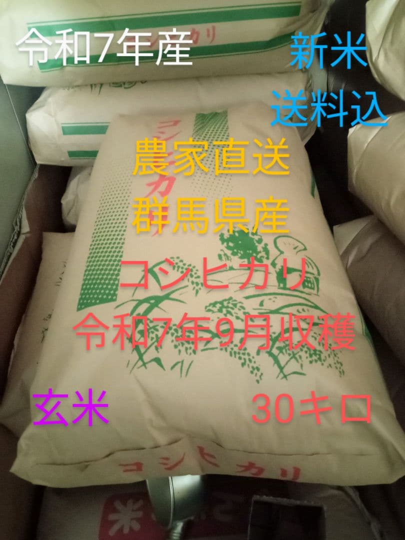 R7年産 新米 群馬県産 コシヒカリ 30キロ 玄米 送料込 30kg ②