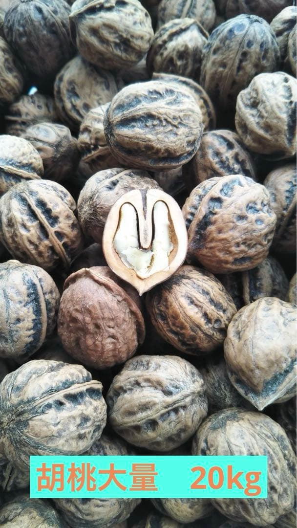 胡桃大量　20kg