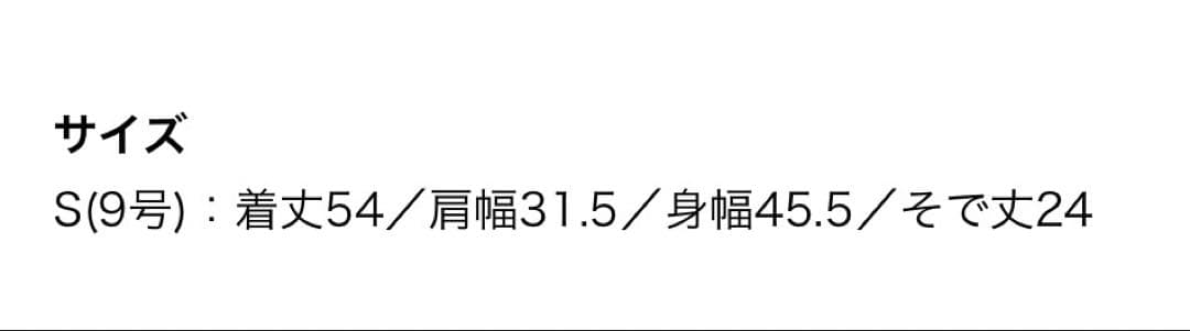 【新品未使用】トゥモローランド　コットンカノコ　ポロプルオーバー