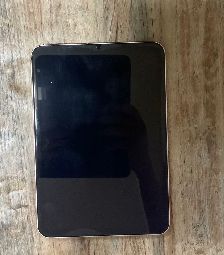 Apple ipad mini 6 64GB Cellular 美品 ピンク