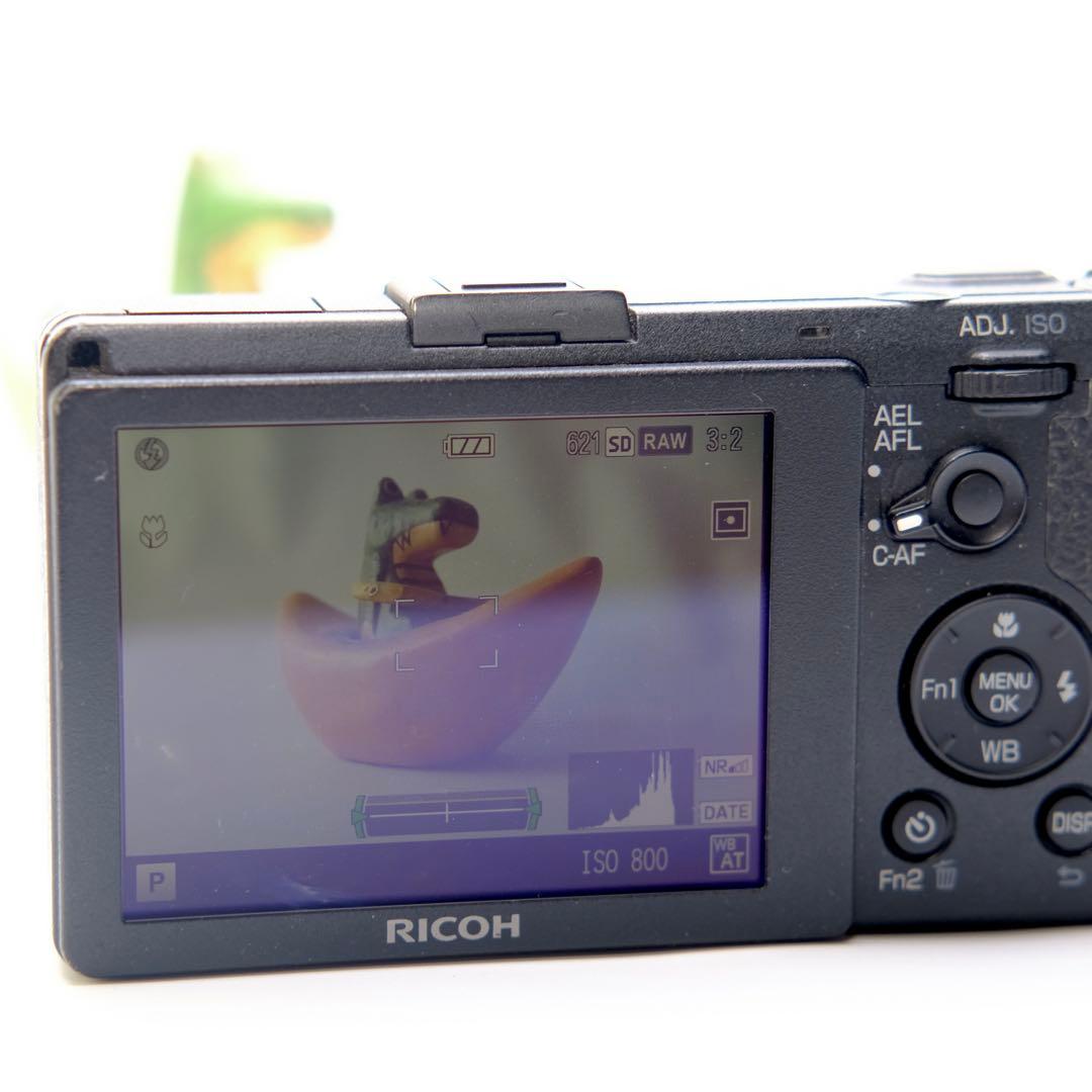 RICOH GR 初代 APS-C