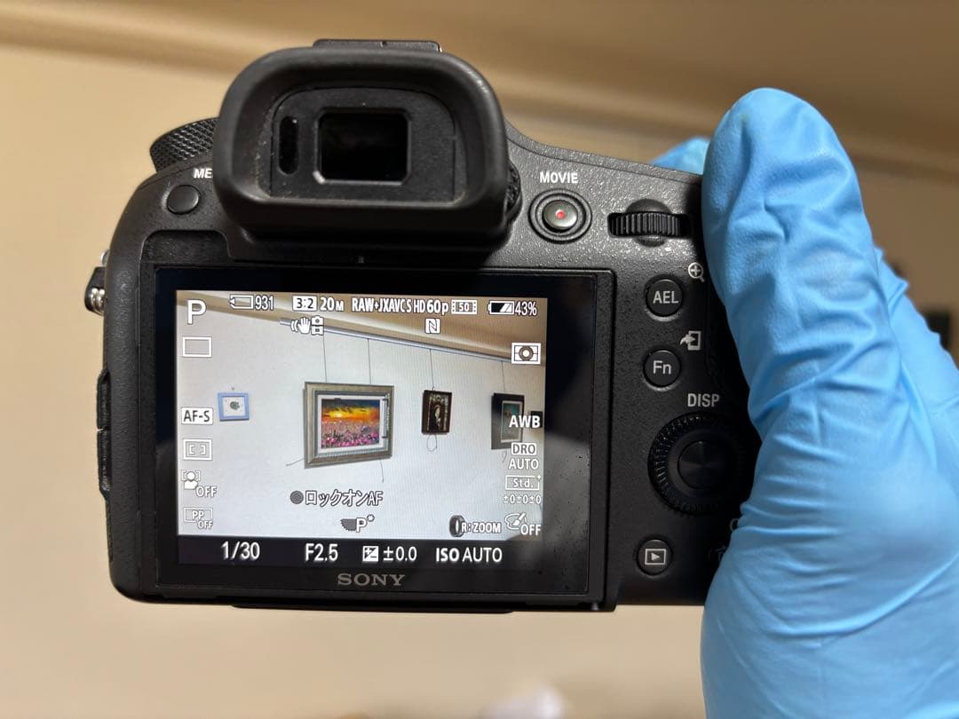 SONY サイバーショット DSC-RX10M3 動作確認済み レンズ内カビあり