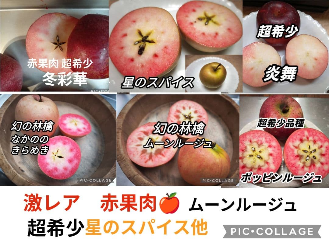 激レアりんご☆選択可【ムーンルージュ他数品種から8個】＋フジ/あいかの香り2キロ