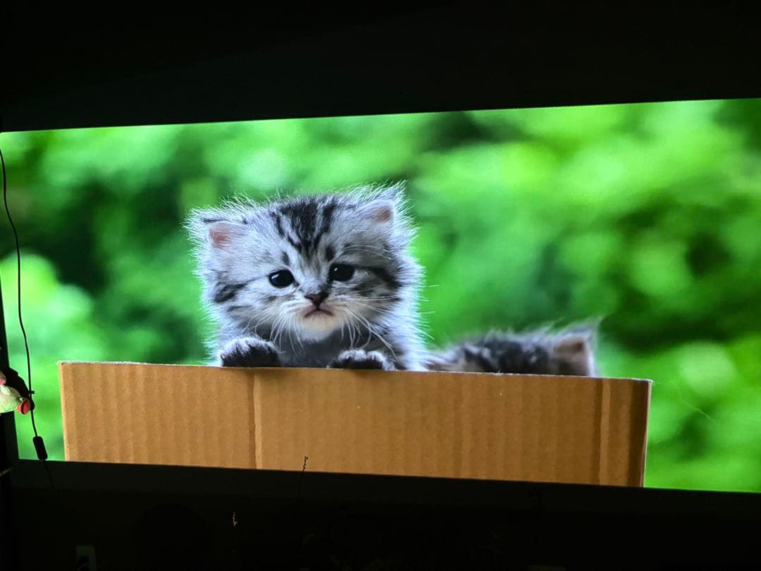 【値下げ中】Anker NEBULA Cosmos プロジェクター 本体