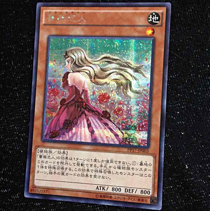 遊戯王 エラーカード