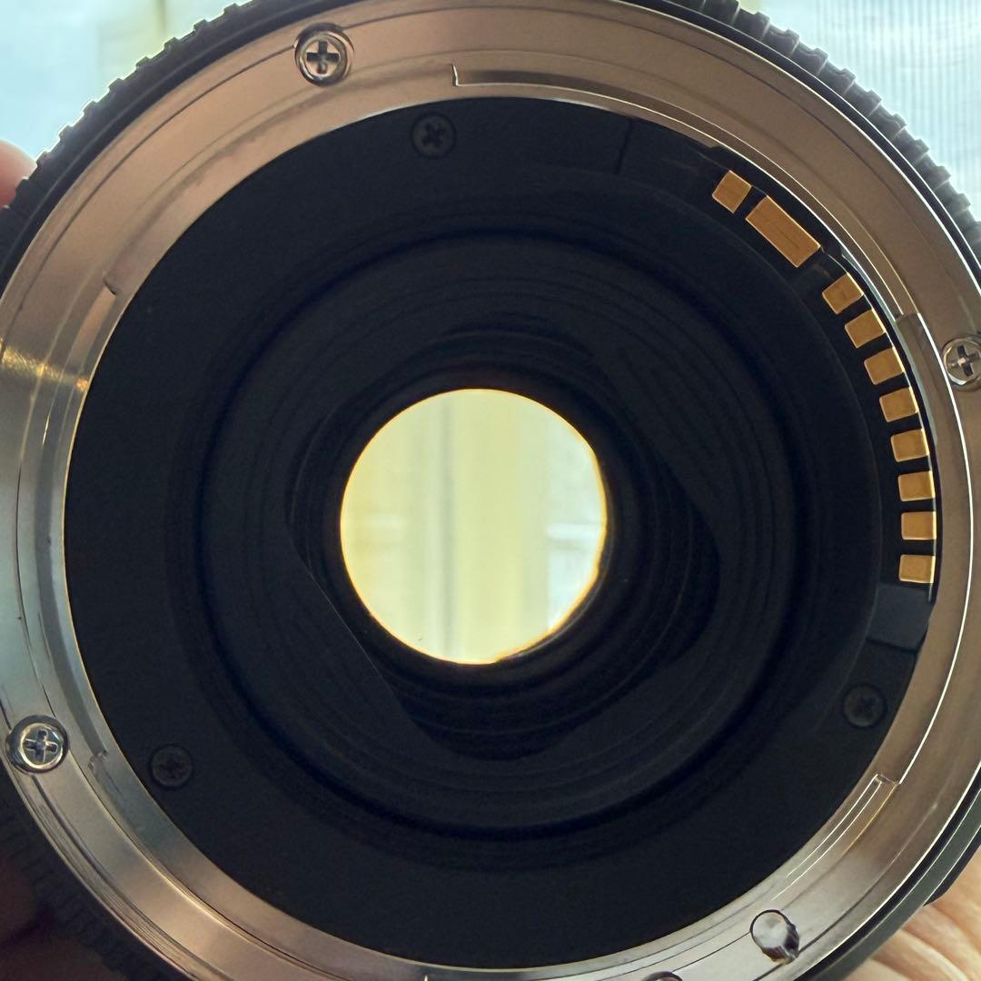 SIGMA シグマ 10-20mm F3.5 EX DC HSM（キヤノン用）